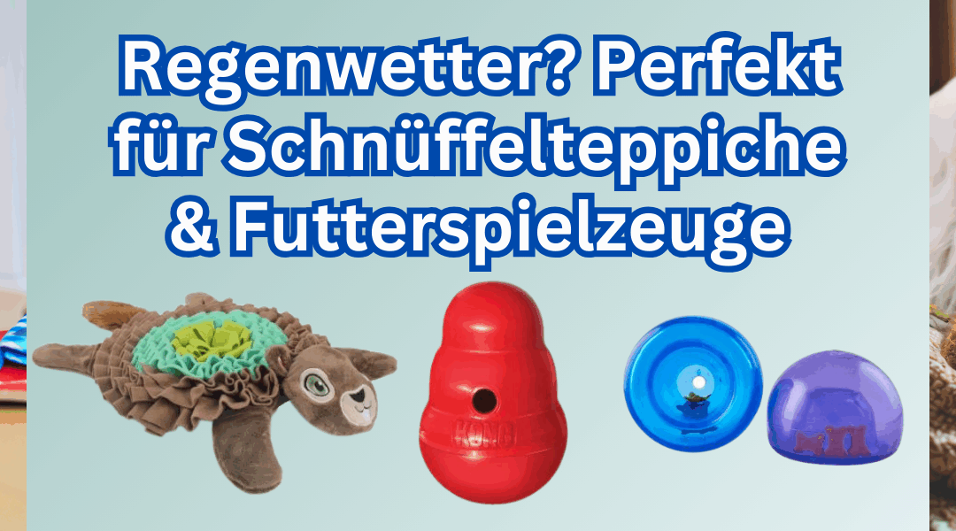 🌧️Regenwetter? Perfekt für Schnüffelteppiche & Futterspielzeuge 🐶