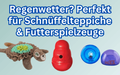 🌧️Regenwetter? Perfekt für Schnüffelteppiche & Futterspielzeuge 🐶