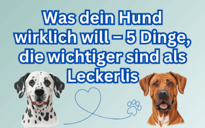 Was dein Hund wirklich will – 5 Dinge, die wichtiger sind als Leckerlis